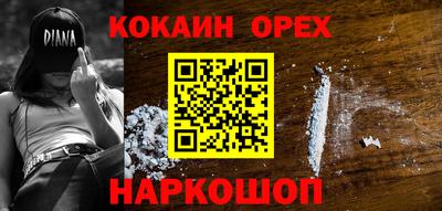 индика Можга