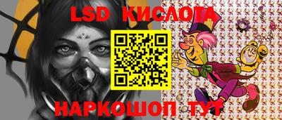 индика Можга