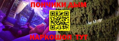 индика Можга
