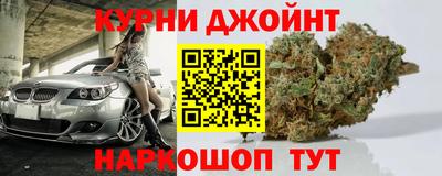 индика Можга