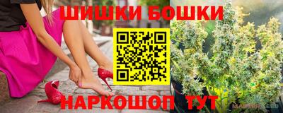 индика Можга