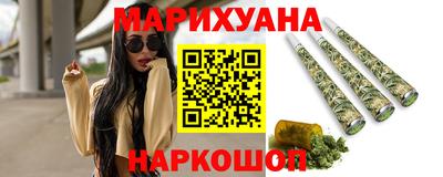 индика Можга