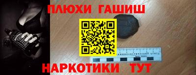 индика Можга
