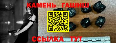 индика Можга