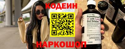 индика Можга