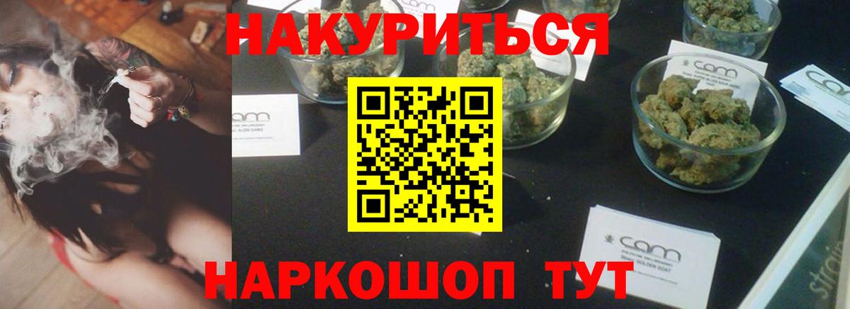 Канабис сатива Узловая